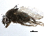  ( - BIOUG26544-D07)  @13 [ ] CreativeCommons - Attribution (2016) CBG Photography Group Centre for Biodiversity Genomics