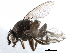  ( - BIOUG26544-G03)  @13 [ ] CreativeCommons - Attribution (2016) CBG Photography Group Centre for Biodiversity Genomics