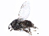  ( - BIOUG26544-G09)  @13 [ ] CreativeCommons - Attribution (2016) CBG Photography Group Centre for Biodiversity Genomics