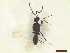  ( - CRAW12_B0031)  @11 [ ] by-nc-nd (2023) Unspecified CRA-W