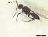  ( - CRAW12_B0044)  @11 [ ] by-nc-nd (2023) Unspecified CRA-W
