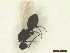  ( - CRAW12_B0045)  @11 [ ] by-nc-nd (2023) Unspecified CRA-W