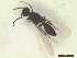  ( - CRAW12_B0048)  @11 [ ] by-nc-nd (2023) Unspecified CRA-W
