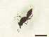  ( - CRAW12_B0061)  @11 [ ] by-nc-nd (2023) Unspecified CRA-W