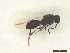  ( - CRAW12_B0064)  @11 [ ] by-nc-nd (2023) Unspecified CRA-W