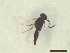  ( - CRAW12_B0132)  @11 [ ] by-nc-nd (2023) Unspecified CRA-W