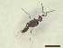  ( - CRAW12_B0190)  @11 [ ] by-nc-nd (2023) Unspecified CRA-W