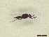  ( - CRAW12_B0195)  @11 [ ] by-nc-nd (2023) Unspecified CRA-W