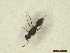  ( - CRAW12_B0217)  @11 [ ] by-nc-nd (2023) Unspecified CRA-W