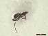  ( - CRAW12_B0268)  @11 [ ] by-nc-nd (2023) Unspecified CRA-W