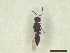  ( - CRAW12_B0286)  @11 [ ] by-nc-nd (2023) Unspecified CRA-W