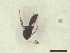  ( - CRAW12_B0390)  @11 [ ] by-nc-nd (2023) Unspecified CRA-W