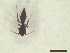  ( - CRAW12_B0511)  @11 [ ] by-nc-nd (2023) Unspecified CRA-W