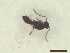  ( - CRAW12_B0584)  @11 [ ] by-nc-nd (2023) Unspecified CRA-W
