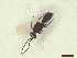  ( - CRAW12_B0597)  @11 [ ] by-nc-nd (2023) Unspecified CRA-W