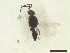  ( - CRAW12_B0703)  @11 [ ] by-nc-nd (2023) Unspecified CRA-W