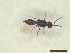  ( - CRAW12_B0706)  @11 [ ] by-nc-nd (2023) Unspecified CRA-W