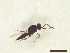  ( - CRAW12_B0934)  @11 [ ] by-nc-nd (2023) Unspecified CRA-W