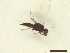  ( - CRAW12_B0950)  @11 [ ] by-nc-nd (2023) Unspecified CRA-W