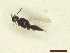  ( - CRAW12_B0981)  @11 [ ] by-nc-nd (2023) Unspecified CRA-W