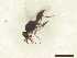  ( - CRAW12_B1024)  @11 [ ] by-nc-nd (2023) Unspecified CRA-W