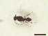  ( - CRAW12_B1068)  @11 [ ] by-nc-nd (2023) Unspecified CRA-W