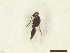  ( - CRAW12_B1073)  @11 [ ] by-nc-nd (2023) Unspecified CRA-W