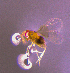  ( - Dj_A10)  @11 [ ] CreativeCommons Attribution Non-Commercial (by-nc)  Samuel Valdes Diaz Unspecified