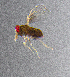  ( - Hh_B4)  @11 [ ] CreativeCommons Attribution Non-Commercial (by-nc)  Samuel Valdes Diaz Unspecified