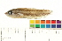  ( - OL-0046)  @13 [ ] CreativeCommons - Attribution (2009) Unspecified Centre for Biodiversity Genomics
