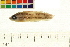  ( - OL-0050)  @11 [ ] CreativeCommons - Attribution (2009) Unspecified Centre for Biodiversity Genomics