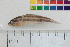  ( - OL-0047)  @12 [ ] CreativeCommons - Attribution (2010) Unspecified Centre for Biodiversity Genomics