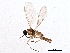  ( - BIOUG02931-A11)  @13 [ ] CreativeCommons - Attribution (2013) CBG Photography Group Centre for Biodiversity Genomics