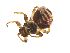 ( - PAVEA_D89)  @11 [ ] by-sa-CreativeCommons-Attribution Share-Alike  Unspecified Unspecified