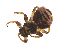 ( - PAVEA_D89)  @11 [ ] by-sa-CreativeCommons-Attribution Share-Alike  Unspecified Unspecified