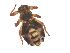  ( - PAVEA_D90)  @11 [ ] by-sa-CreativeCommons-Attribution Share-Alike  Unspecified Unspecified