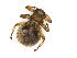  ( - PAVEA_D92)  @11 [ ] by-sa-CreativeCommons-Attribution Share-Alike  Unspecified Unspecified