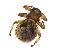  ( - PAVEA_D92)  @11 [ ] by-sa-CreativeCommons-Attribution Share-Alike  Unspecified Unspecified