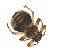  ( - PAVEA_D92)  @11 [ ] by-sa-CreativeCommons-Attribution Share-Alike  Unspecified Unspecified