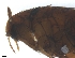  ( - PAVEA_Flo3)  @11 [ ] by-sa - CreativeCommons - Attribution Share-Alike  Unspecified University of Veterinary Medicine, Vienna