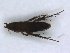 ( - PAVEA_Flo3)  @11 [ ] by-sa - CreativeCommons - Attribution Share-Alike  Unspecified University of Veterinary Medicine, Vienna