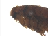  ( - PAVEA_Flo4)  @11 [ ] by-sa - CreativeCommons - Attribution Share-Alike  Unspecified University of Veterinary Medicine, Vienna