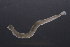 ( - CC00155)  @11 [ ] by-nc-sa (2024) Luis Martell University Museum of Bergen, Natural History Collections