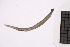  ( - CC00166)  @11 [ ] by-nc-sa (2024) Luis Martell University Museum of Bergen, Natural History Collections