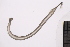  ( - CC00169)  @11 [ ] by-nc-sa (2024) Luis Martell University Museum of Bergen, Natural History Collections