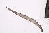  ( - CC00170)  @11 [ ] by-nc-sa (2024) Luis Martell University Museum of Bergen, Natural History Collections