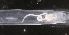  ( - PZ0199)  @11 [ ] by-nc-sa (2023) Luis Martell University Museum of Bergen, Natural History Collections