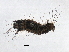  ( - BIOUG01206-E06)  @11 [ ] CreativeCommons - Attribution (2013) CBG Photography Group Centre for Biodiversity Genomics