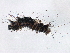  ( - BIOUG01206-E07)  @11 [ ] CreativeCommons - Attribution (2013) CBG Photography Group Centre for Biodiversity Genomics