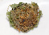  ( - BIOUG00975-C01)  @13 [ ] CreativeCommons - Attribution (2011) Peter J. Bryant Centre for Biodiversity Genomics